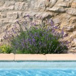 Pool Mas Pellier Ardèche Cévennes Provence Barjac Gard